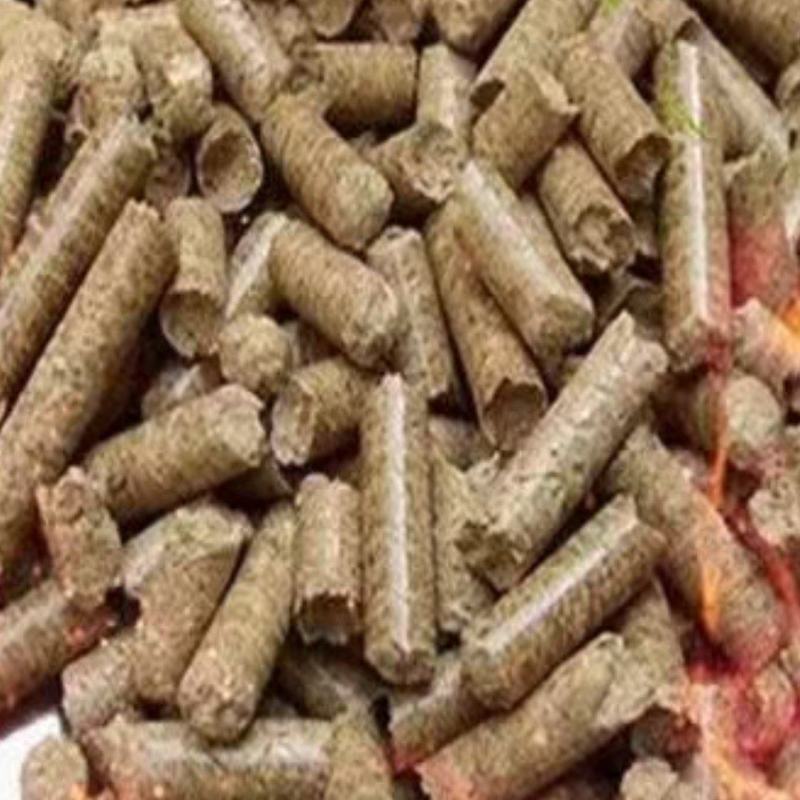 燃烧颗粒