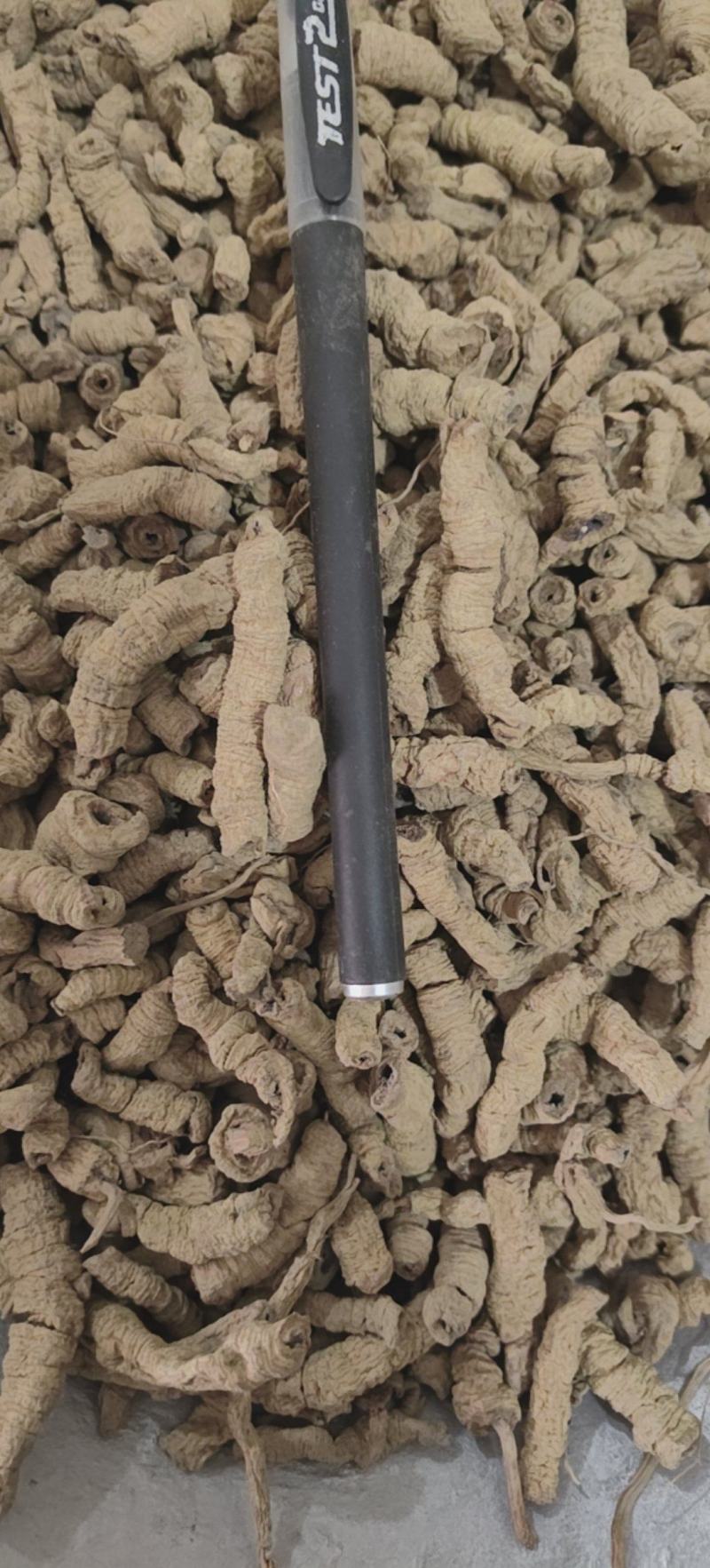 巴戟天巴戟肉优质无硫全抽巴戟肉产地直销一手货源中药材