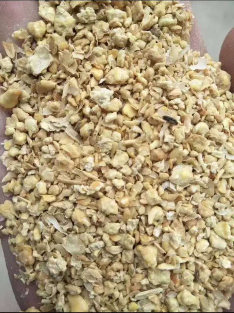 河北厂家大量销售豆粕养殖通用原料鸡鸭鹅猪牛羊蛋白46