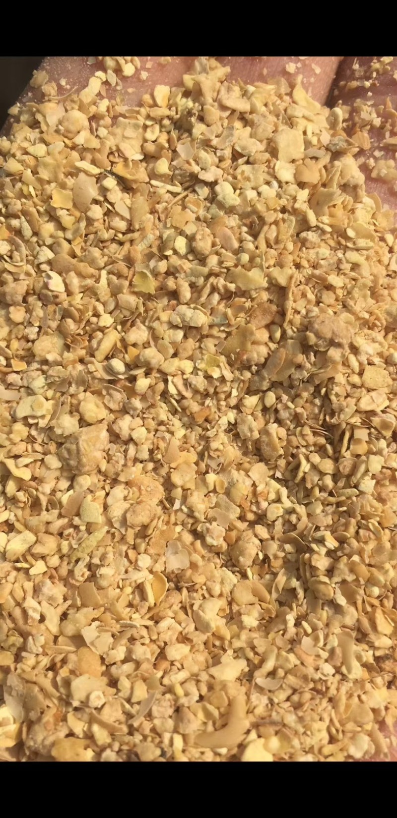 河北厂家大量销售豆粕养殖通用原料鸡鸭鹅猪牛羊蛋白46