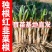 正宗独根红韭菜根四季阳台盆栽产地直发批发质量好