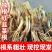 正宗独根红韭菜根四季阳台盆栽产地直发批发质量好