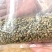 乌干达罗布斯塔15目咖啡豆，绿色生豆，