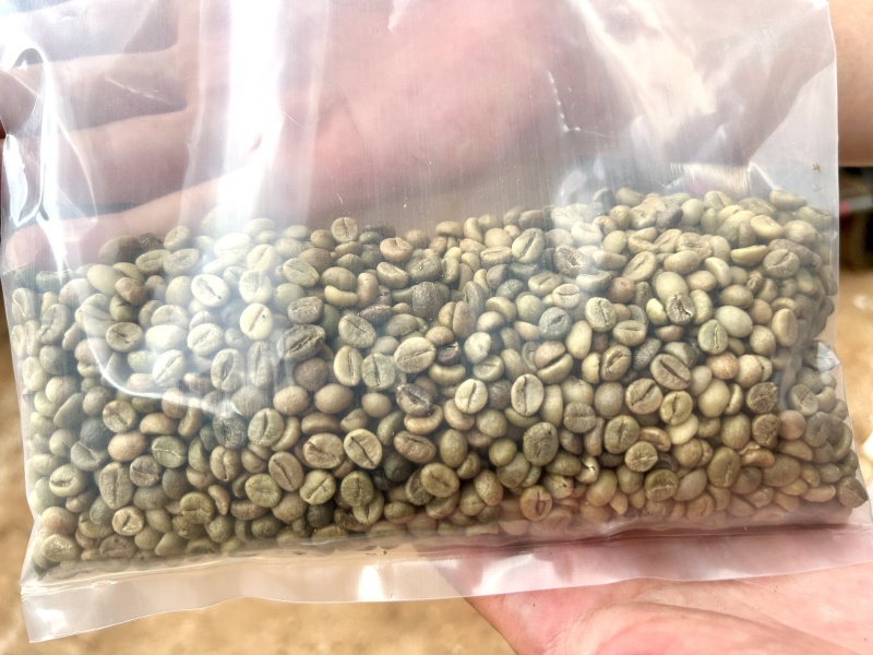 乌干达罗布斯塔15目咖啡豆，绿色生豆，