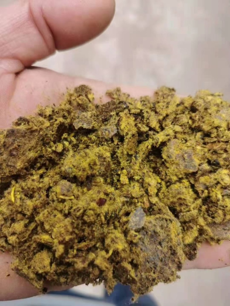 棉饼棉粕牛羊养殖育肥饼养殖通用饲料大量上市