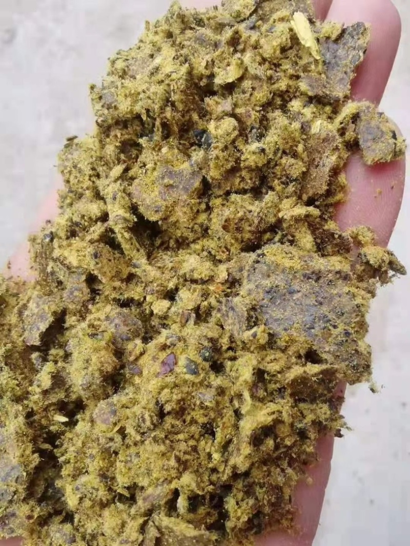 棉饼棉粕牛羊养殖育肥饼养殖通用饲料大量上市