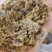 棉饼棉粕牛羊养殖育肥饼养殖通用饲料大量上市