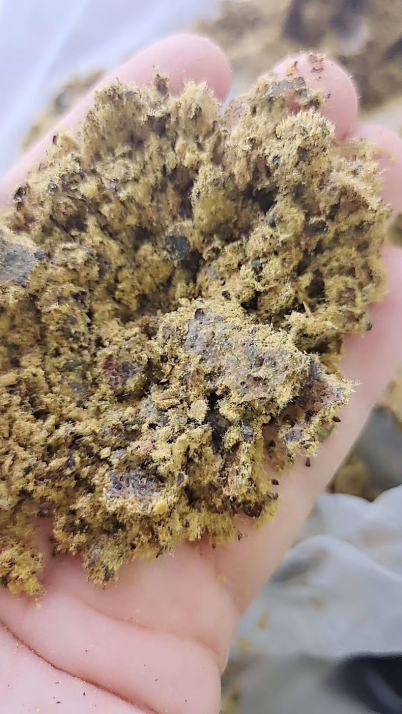 棉饼棉粕牛羊养殖育肥饼养殖通用饲料大量上市