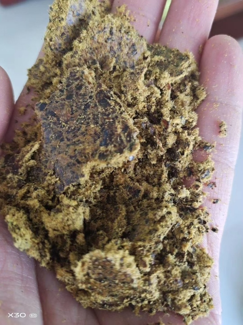 棉饼棉粕牛羊养殖育肥饼养殖通用饲料大量上市