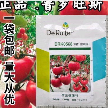 普罗旺斯原装荷兰进口口感番茄种子沙瓤水果番茄山东潍坊寿光
