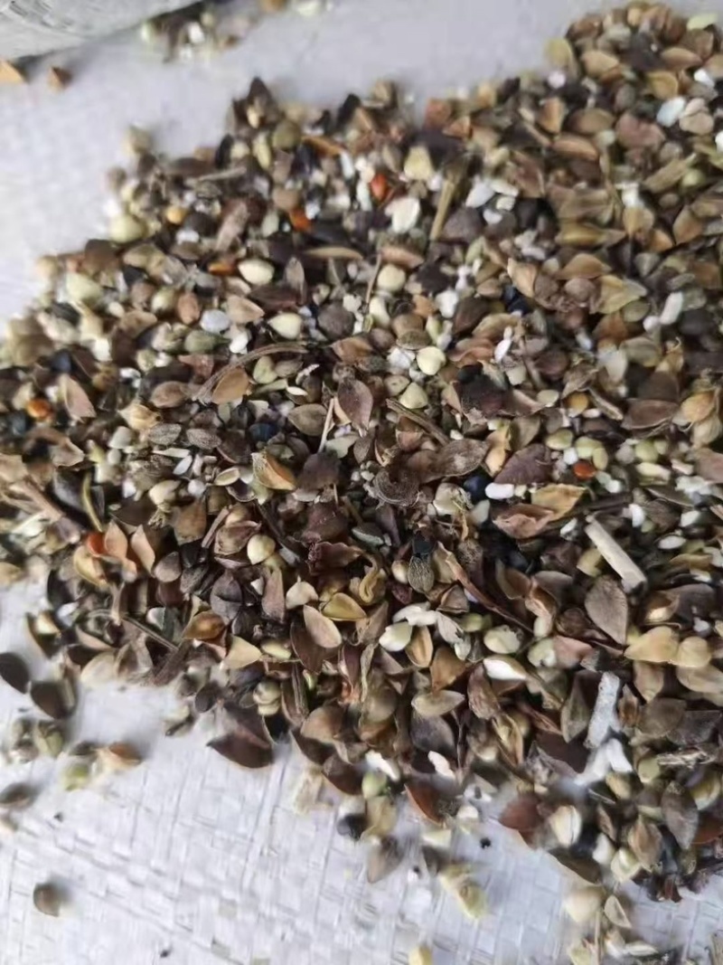 河北厂家直销小杂粮草籽下脚料养殖用主料通用