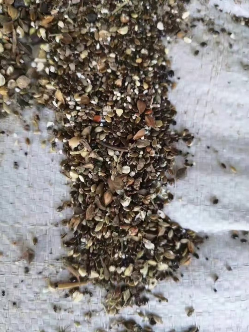 河北厂家直销小杂粮草籽下脚料养殖用主料通用