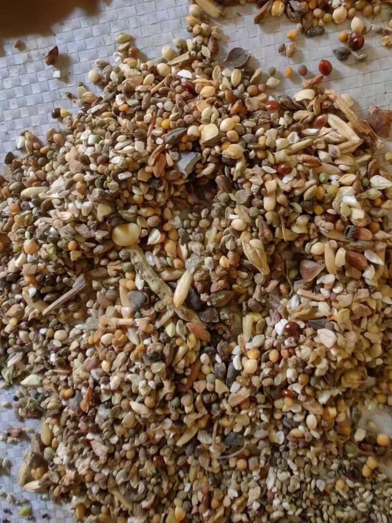 河北厂家直销小杂粮草籽下脚料养殖用主料通用
