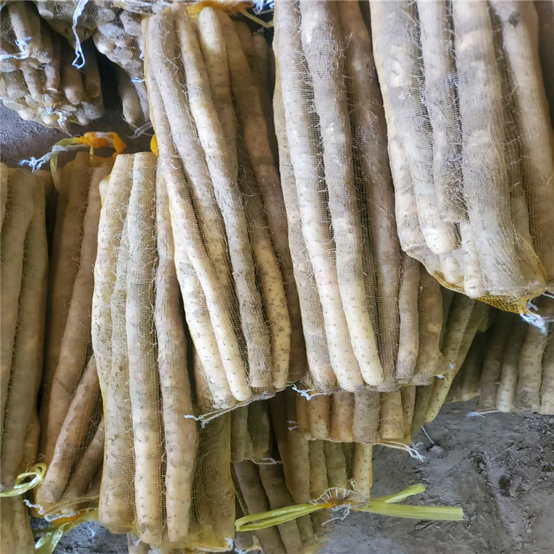 河北小白嘴白山药**上市，各种规格尺寸大量有货，全国发货