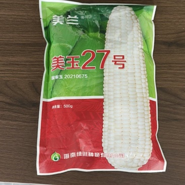 美玉27甜味糯白玉米糯玉米
