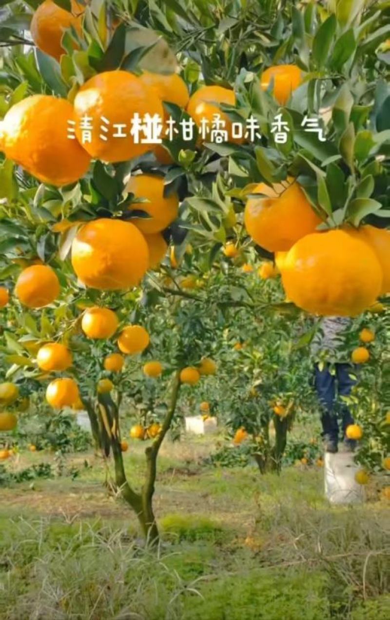 超低价格，一件全国代发。