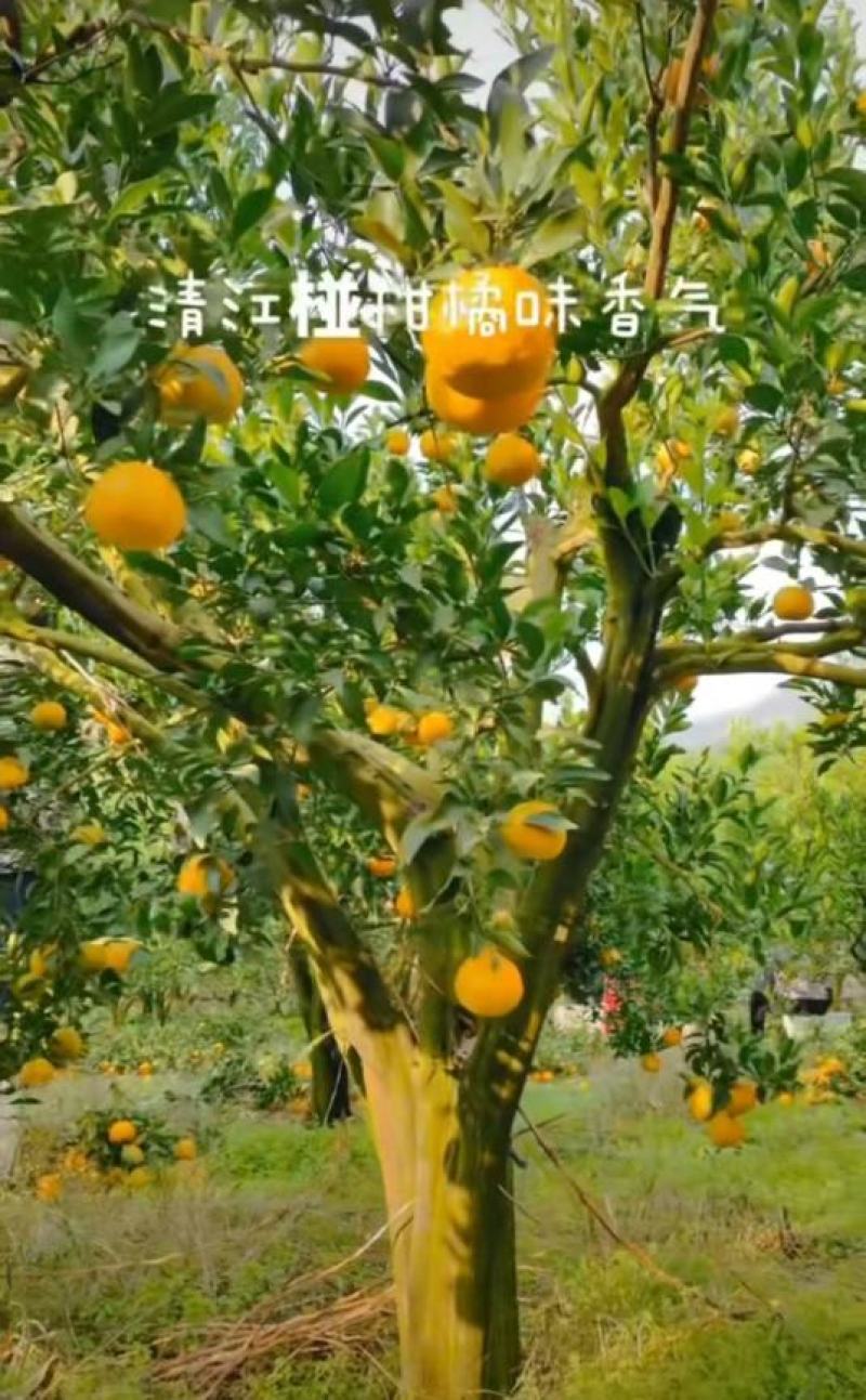 超低价格，一件全国代发。
