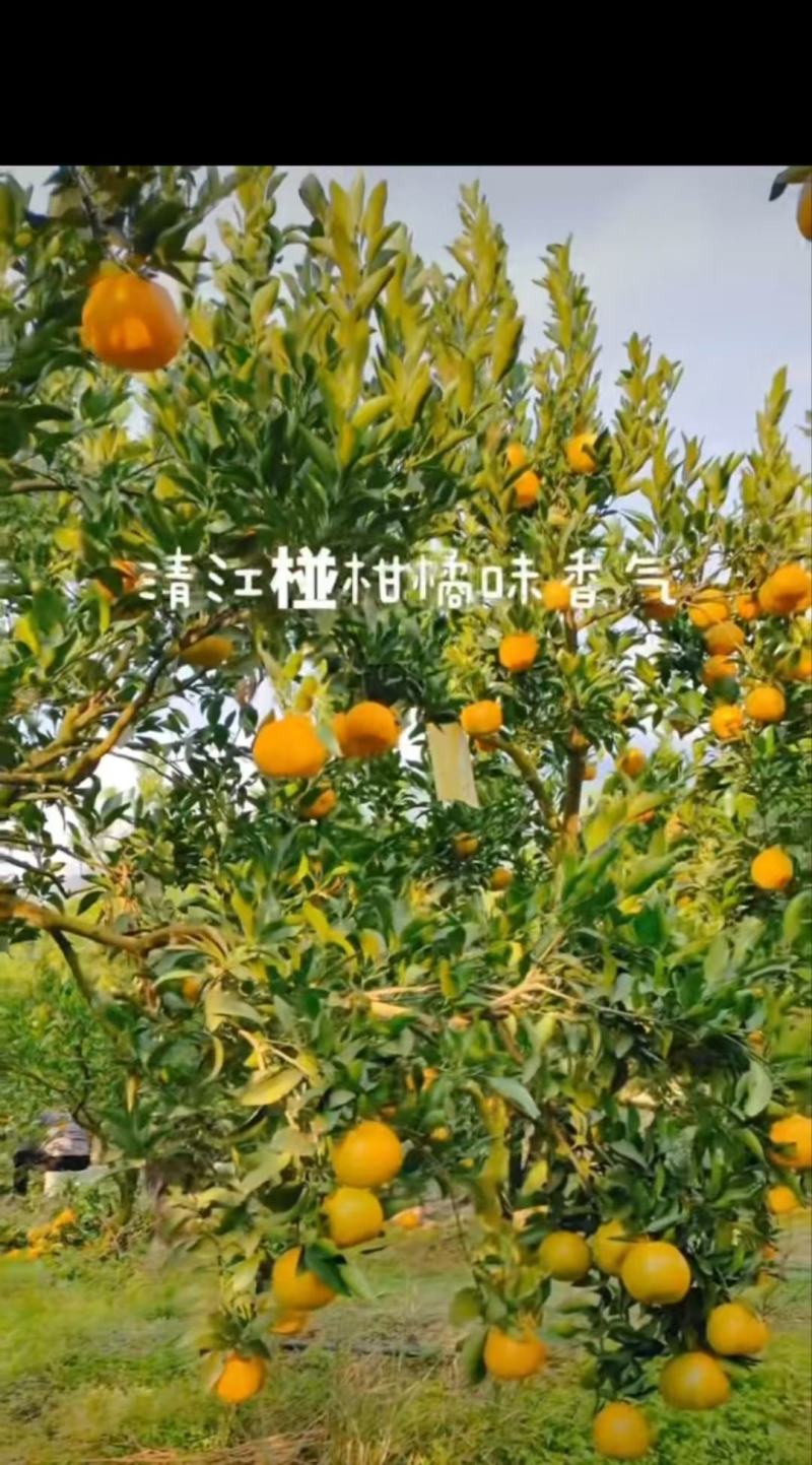超低价格，一件全国代发。