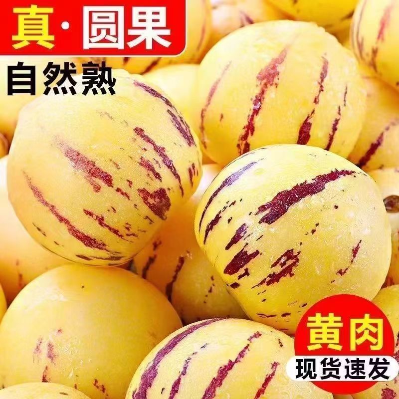 【圆果】云南石林人参果黄心超甜黄肉水果新鲜应季批发价整箱包邮