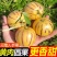 【圆果】云南石林人参果黄心超甜黄肉水果新鲜应季批发价整箱包邮