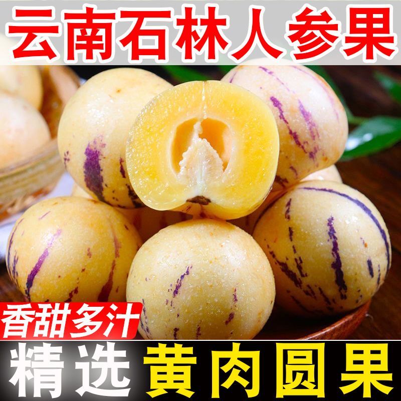 【圆果】云南石林人参果黄心超甜黄肉水果新鲜应季批发价整箱包邮
