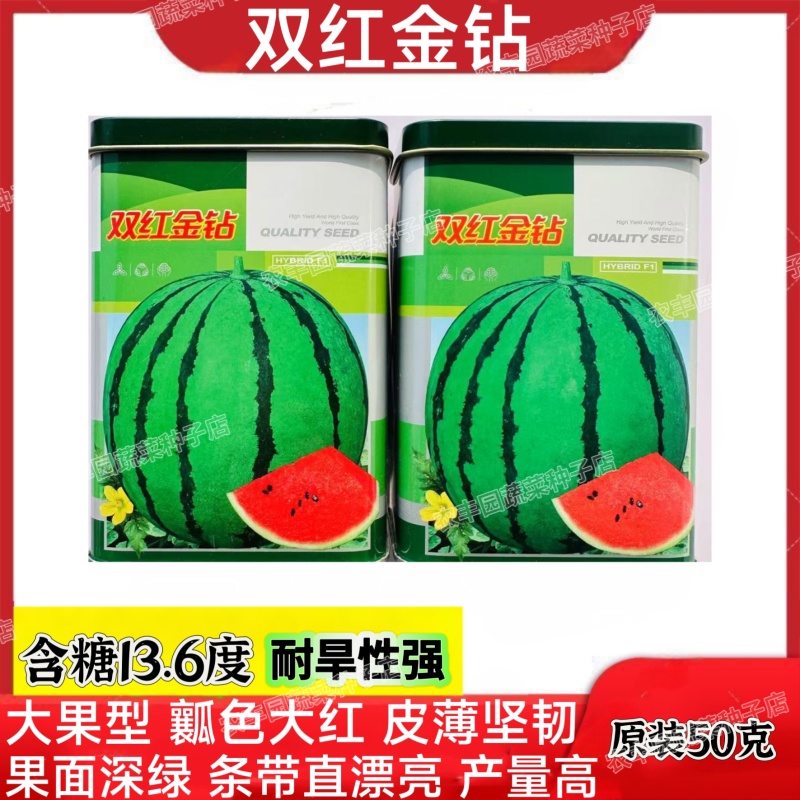 双红金钻西瓜种子大果型瓤色大红含糖高西瓜种子果面深绿西瓜