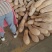 蜜本南瓜货源充足，量大从优，对接全国市场，欢迎咨询。