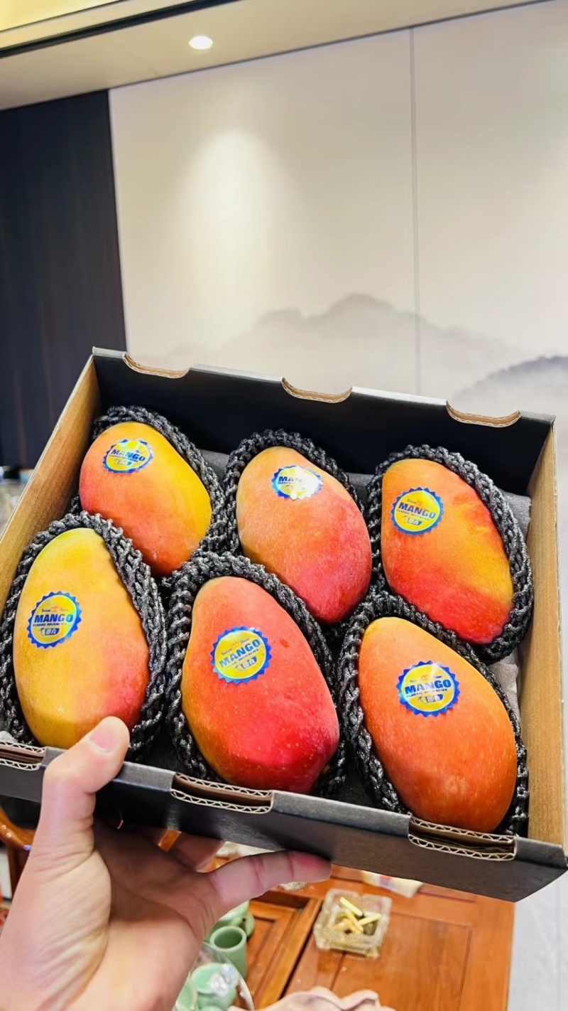 海南贵妃芒大量供应品质保证对接市场电商商超