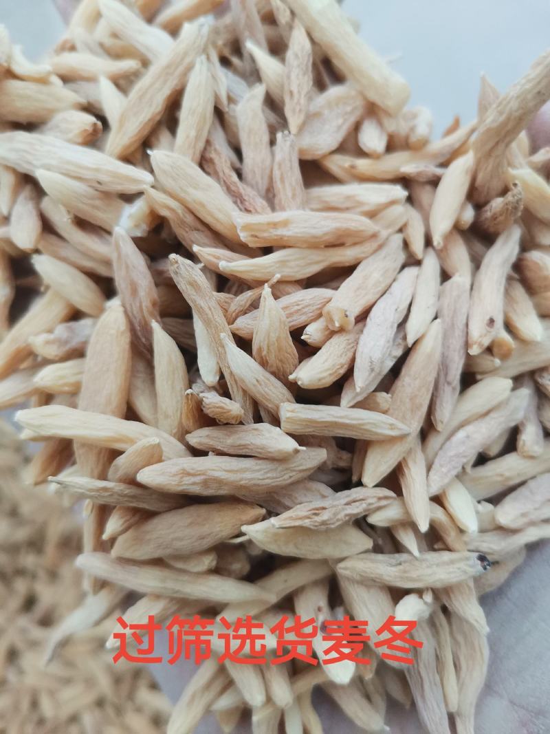 乘法麦冬大颗粒无硫麦冬自然晒干地道药材