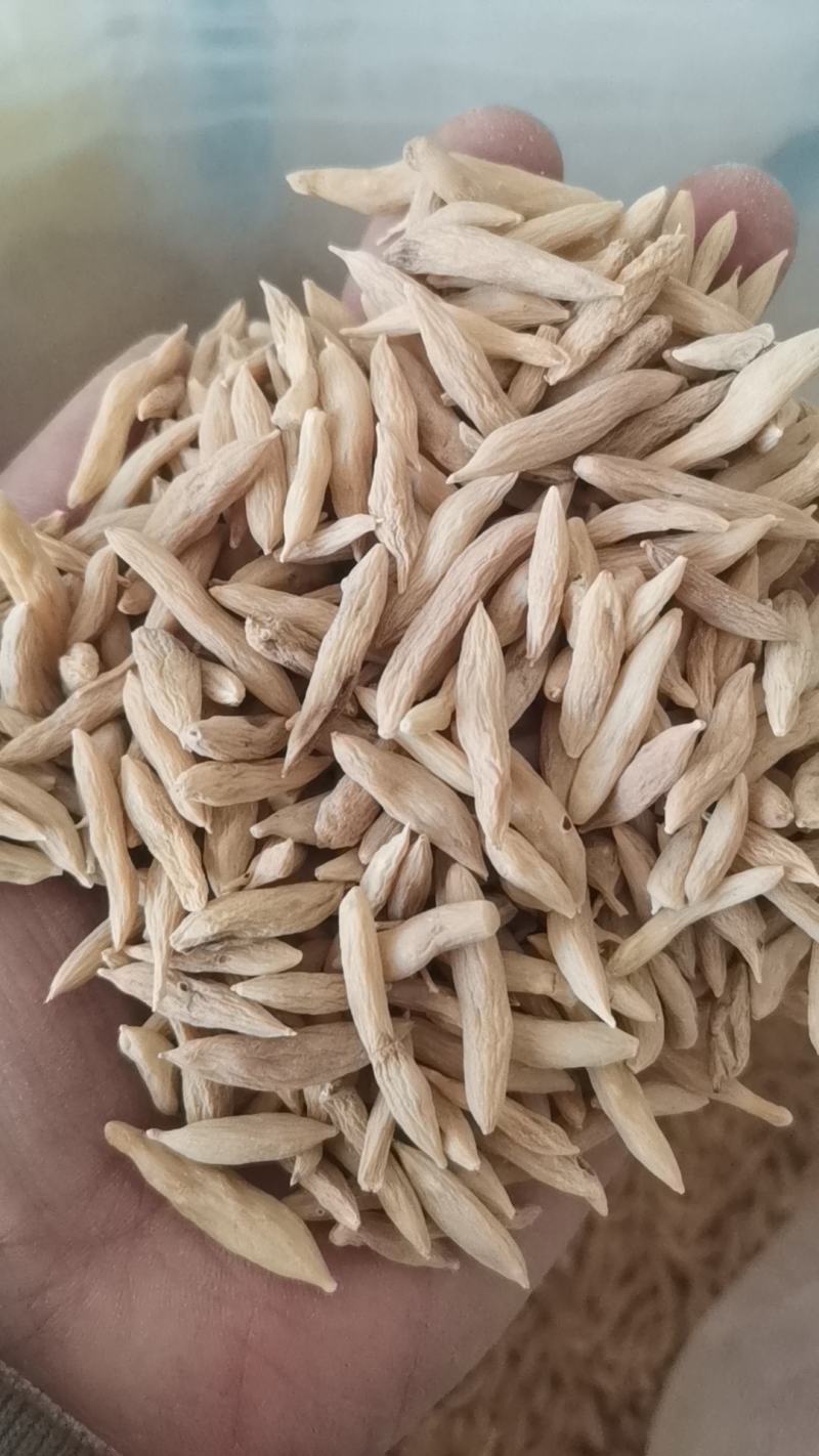 乘法麦冬大颗粒无硫麦冬自然晒干地道药材