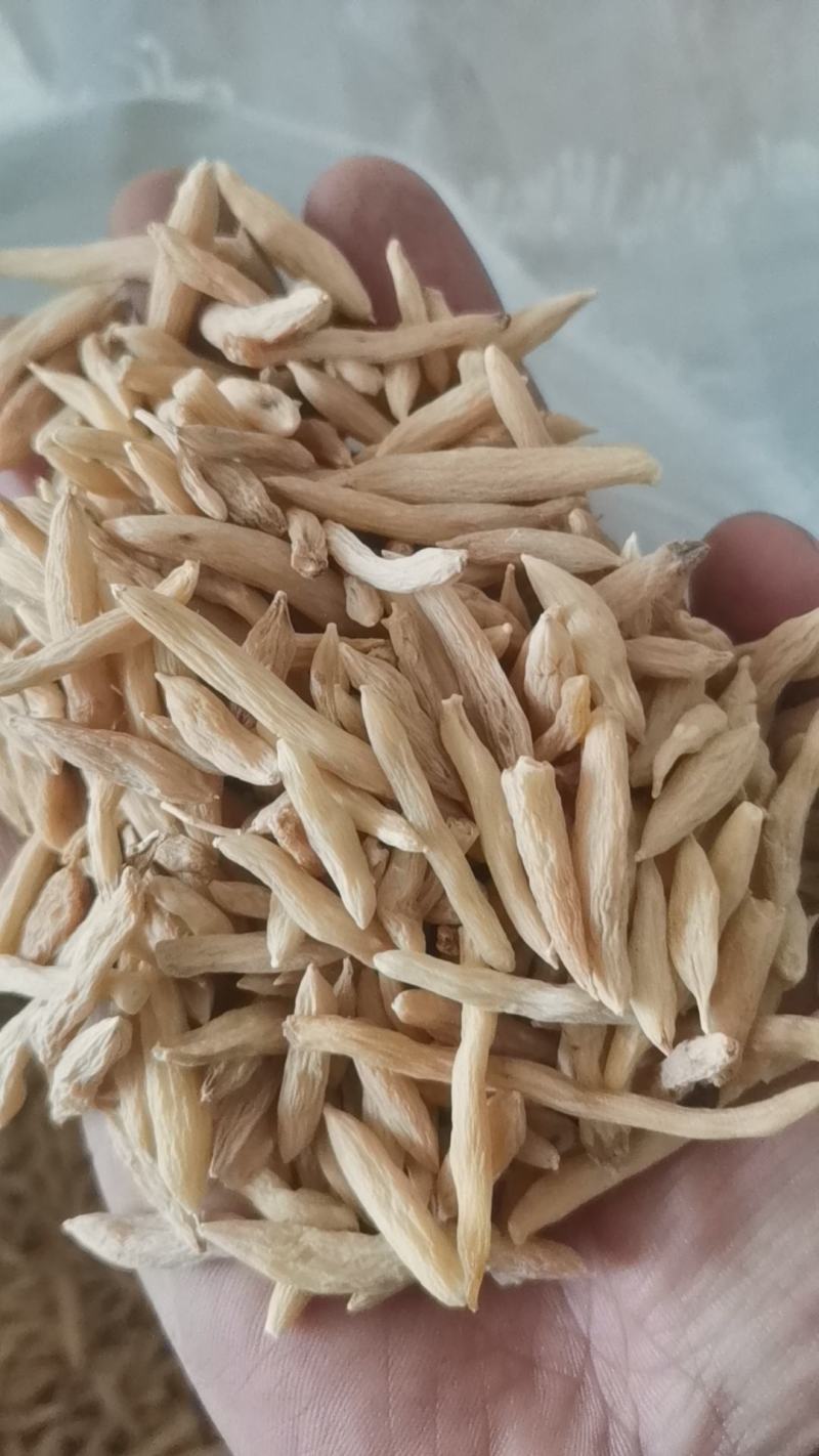 乘法麦冬大颗粒无硫麦冬自然晒干地道药材
