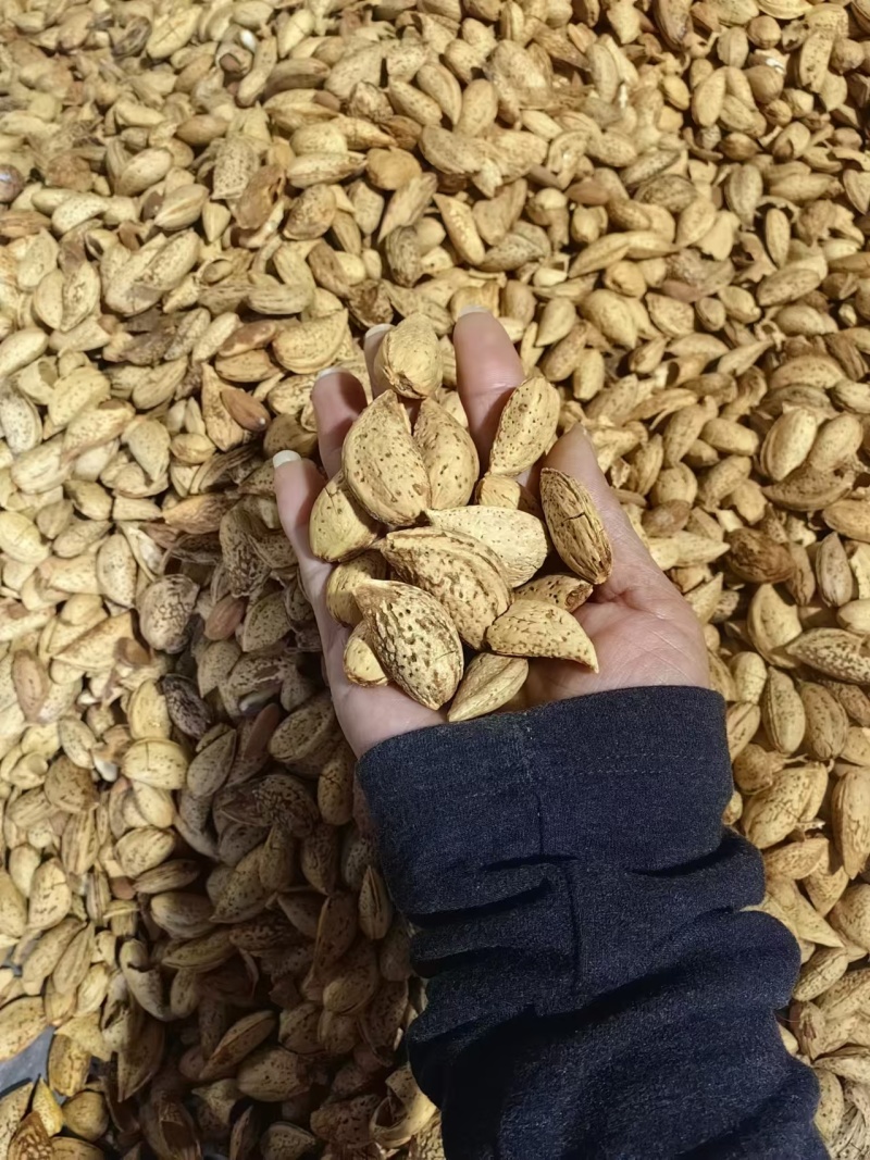 正宗新疆巴旦木大颗粒新货口感好奶香味盐焗口味批发