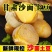 真沙面】土豆新鲜黄心粉糯大土豆高山洋芋农家自种马铃薯一件代发