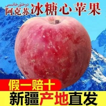 新疆阿克苏冰糖心苹果24年新果，新鲜现货速发，欢迎选购