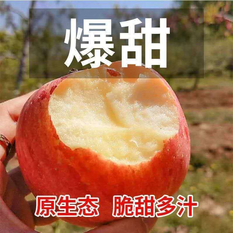 新疆阿克苏冰糖心苹果24年新果，新鲜现货速发，欢迎选购