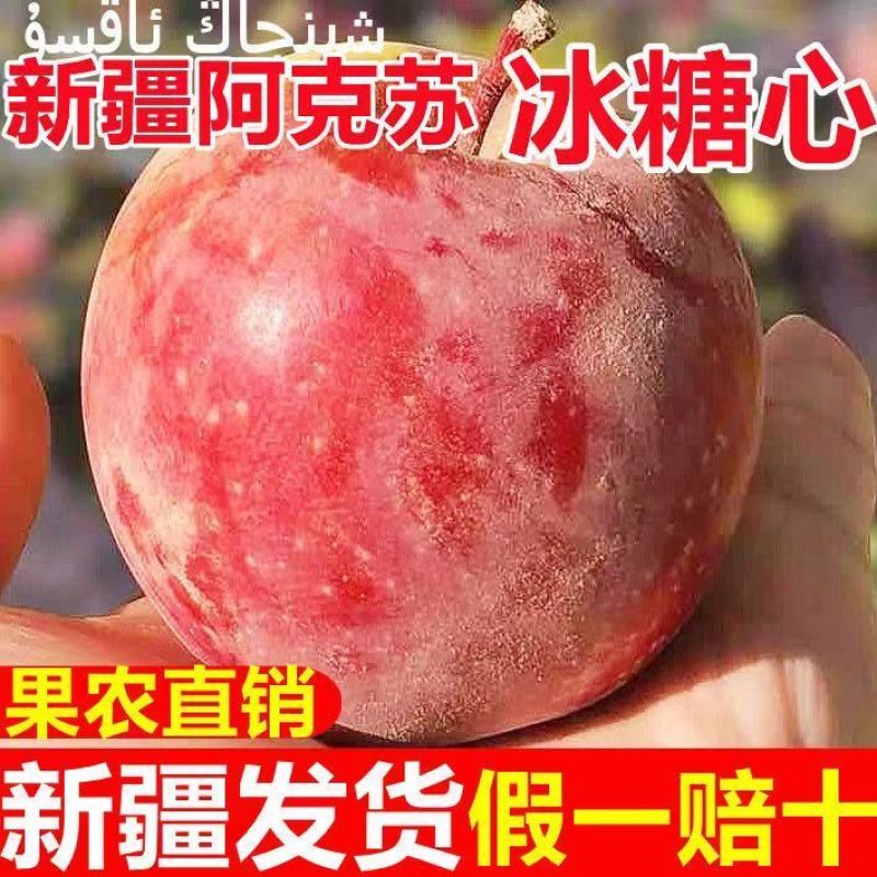 新疆阿克苏冰糖心苹果24年新果，新鲜现货速发，欢迎选购