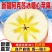 新疆阿克苏冰糖心苹果24年新果，新鲜现货速发，欢迎选购