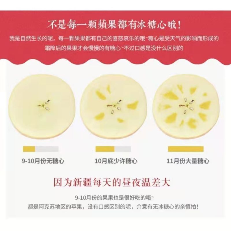 新疆阿克苏冰糖心苹果24年新果，新鲜现货速发，欢迎选购