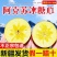 新疆阿克苏冰糖心苹果24年新果，新鲜现货速发，欢迎选购