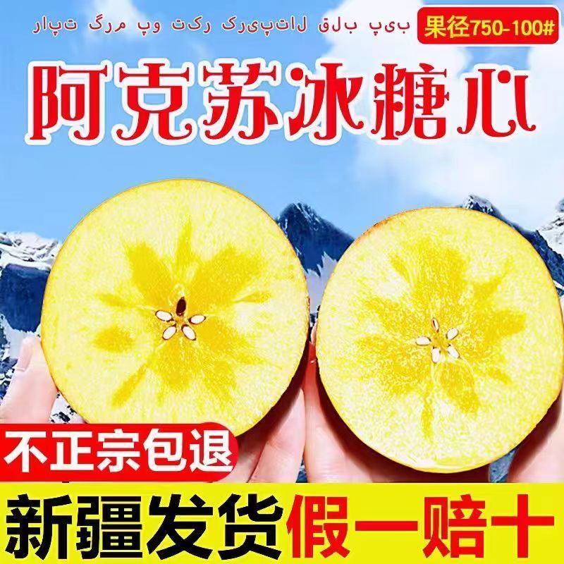 新疆阿克苏冰糖心苹果24年新果，新鲜现货速发，欢迎选购