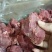 五香牛小脸肉，鲜货实拍，有大量现货，25一斤，货源稳定。
