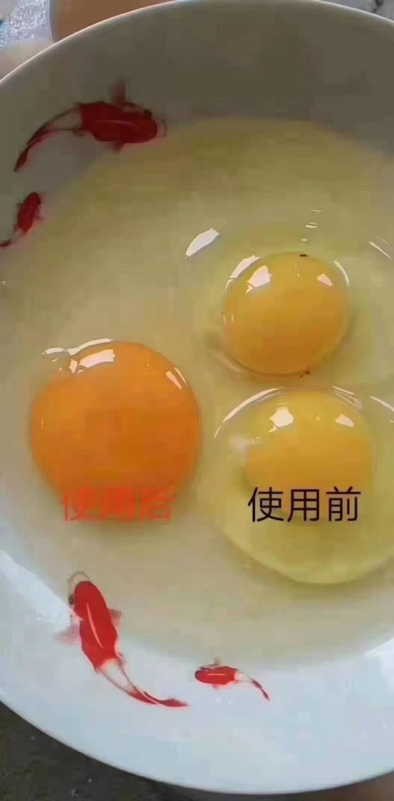 天然色素姜黄粉改善蛋黄颜色鸡鸭鹅通用原料河北厂家直发