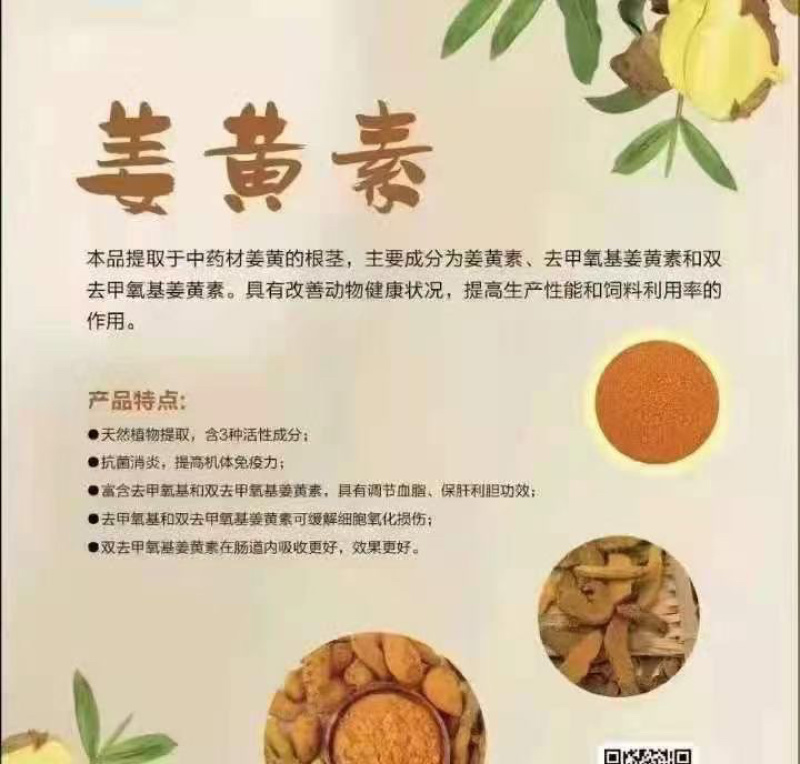 天然色素姜黄粉改善蛋黄颜色鸡鸭鹅通用原料河北厂家直发
