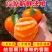 【皮薄肉厚易剥皮】【特级沃柑】沃柑新鲜橘子多汁桔