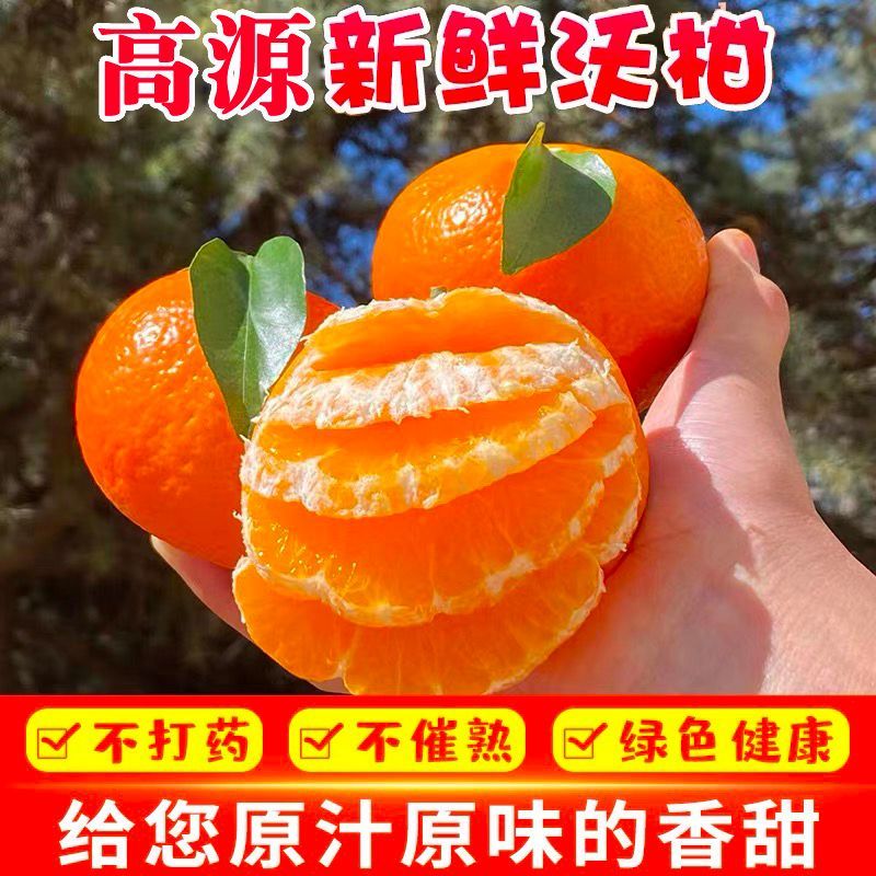 【皮薄肉厚易剥皮】【特级沃柑】沃柑新鲜橘子多汁桔