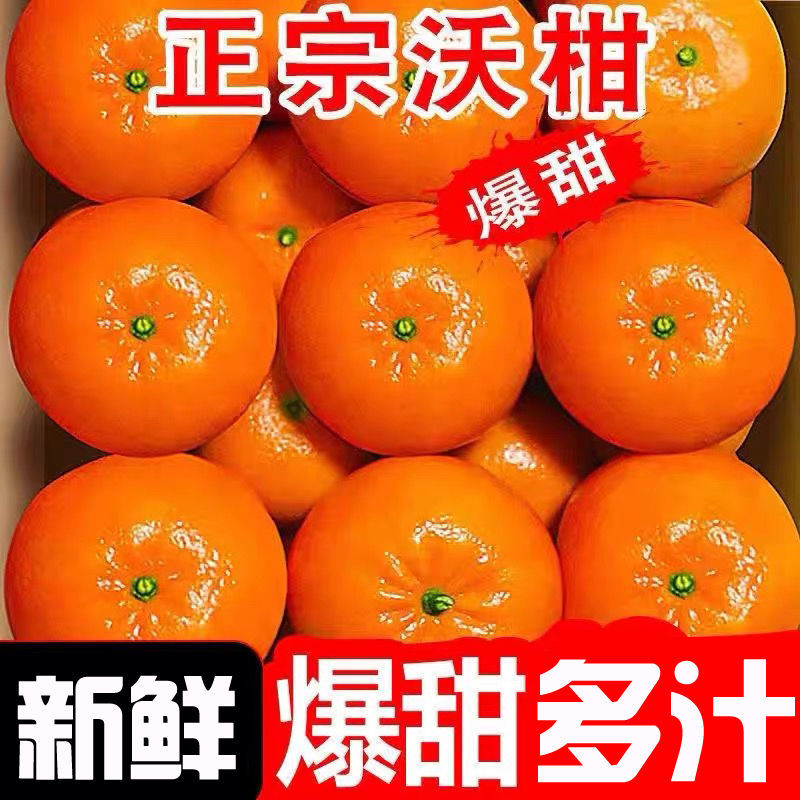 【皮薄肉厚易剥皮】【特级沃柑】沃柑新鲜橘子多汁桔