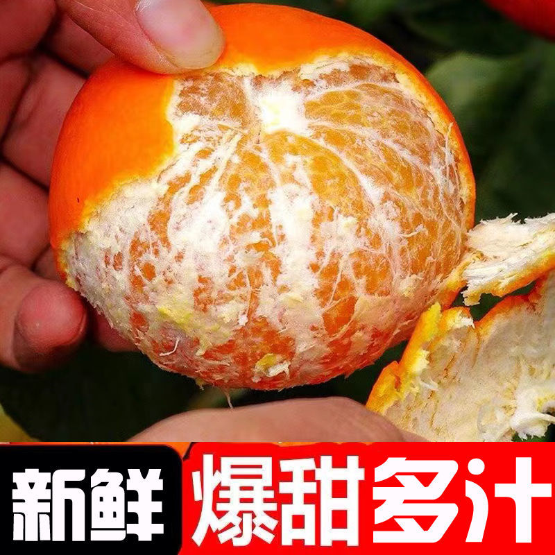 【皮薄肉厚易剥皮】【特级沃柑】沃柑新鲜橘子多汁桔