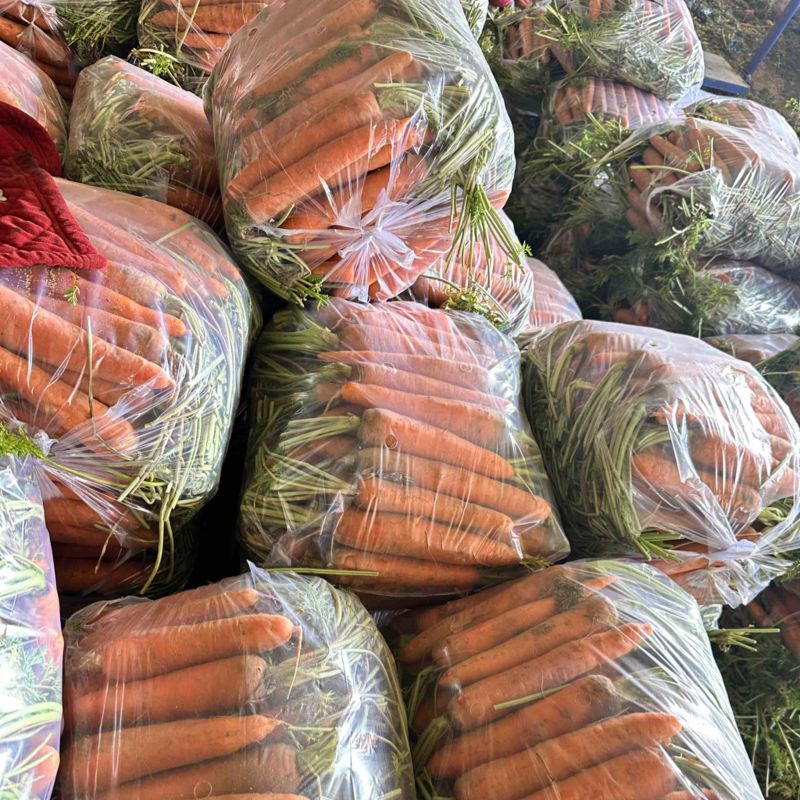 祥符区三红萝卜大量上市保质保量一手货源