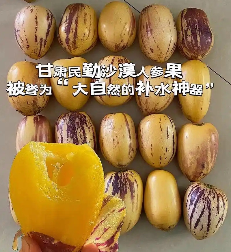 沙漠人参果甘肃民勤人参果产地直发诚信经营欢迎咨询