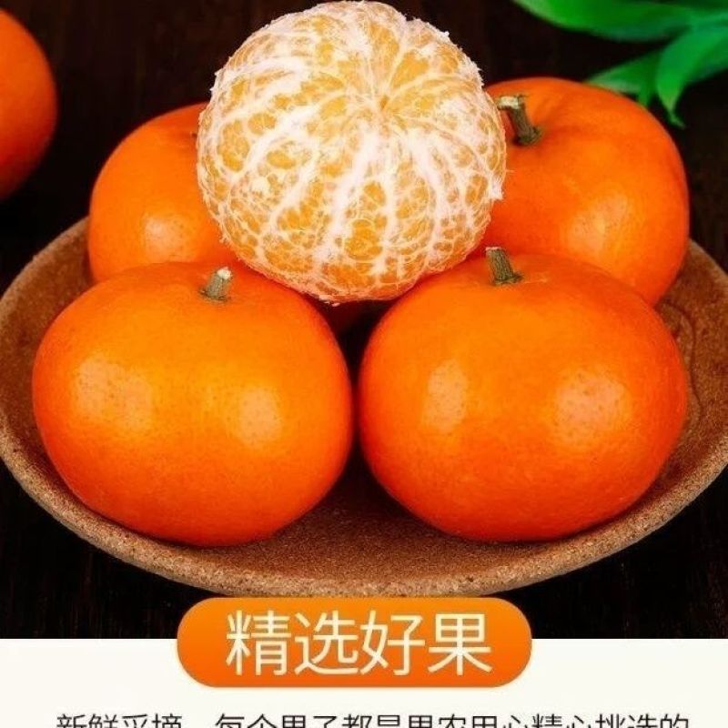 【沃柑超甜】沃柑爆甜特大果斤新鲜当季水果橘子桔子一件代发